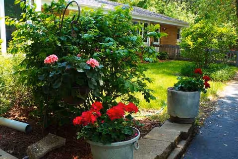 Assisted living facility exterior with potted flowers along a walkway and greenery.