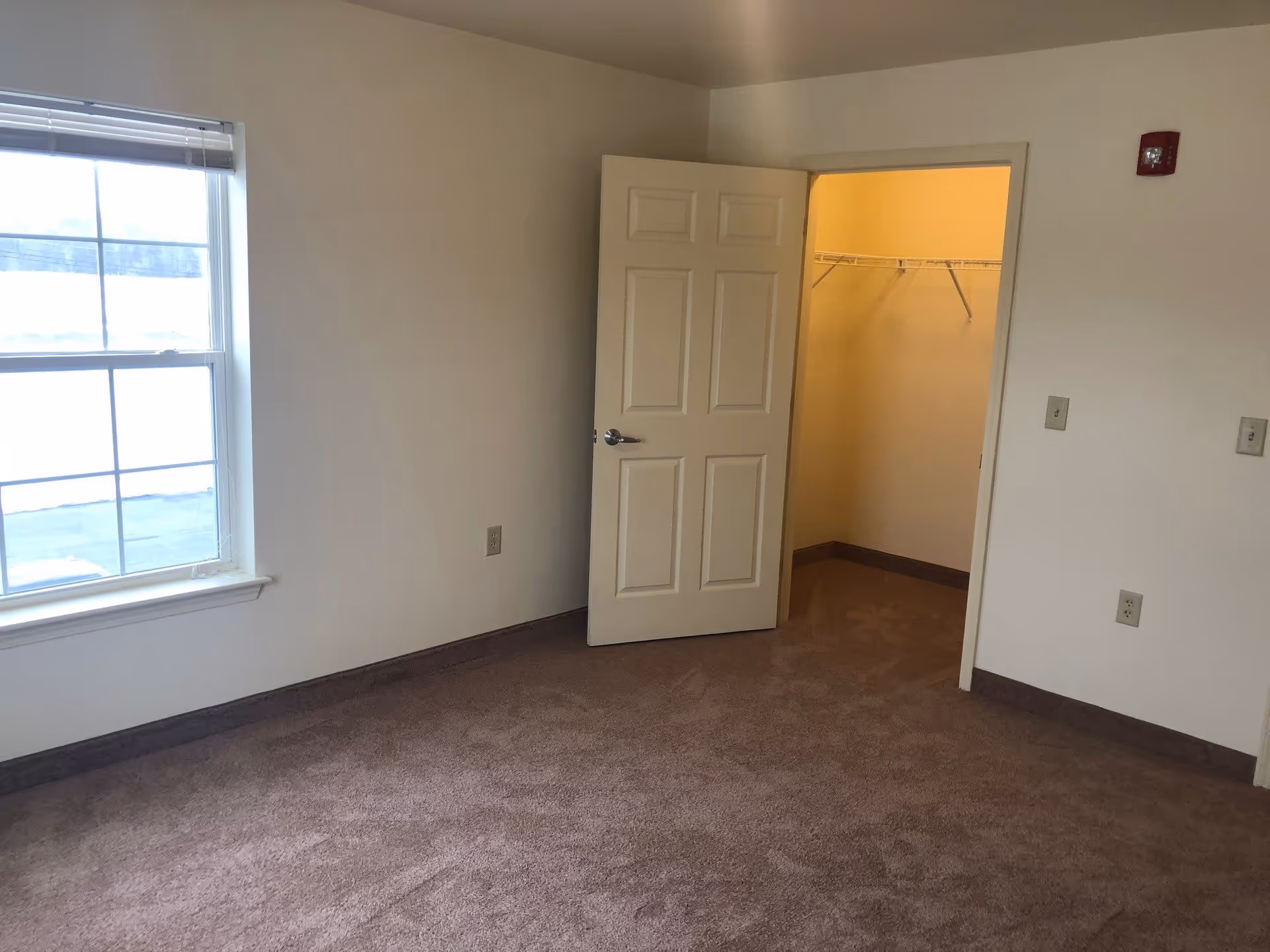 Empty room with beige carpet, white walls, a window with blinds on the left, and an open door leading to a walk-in closet with a wire shelf inside.