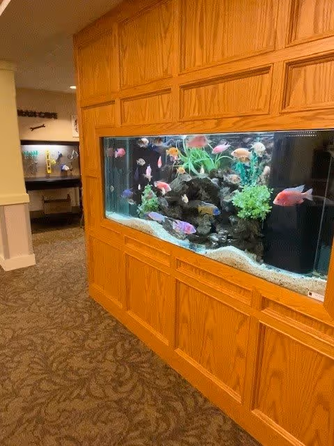 A built-in aquarium filled with colorful fish and aquatic plants is set into a wooden wall panel in a carpeted hallway of a senior living facility. The hallway extends to the left with additional rooms and decor visible in the background.