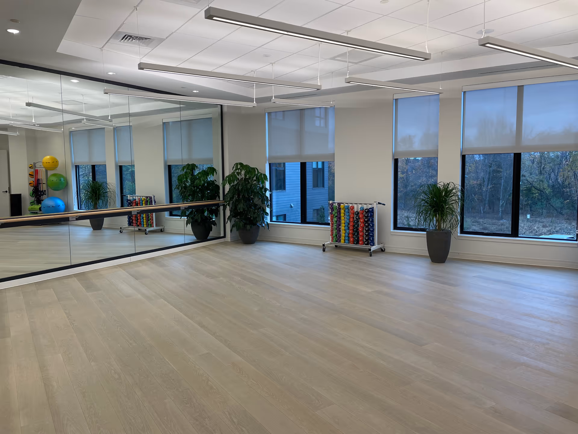 Studio exercise room with a mirrored wall, ballet barre, plants, and racks of exercise balls and weights.