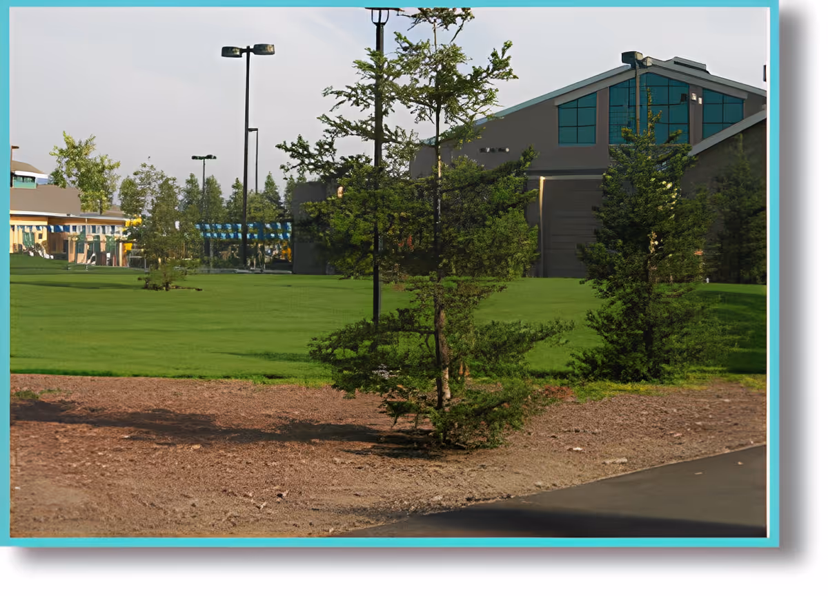 Outdoor view of a senior living facility with green grass, small trees, and a large building with glass windows in the background under a clear sky.