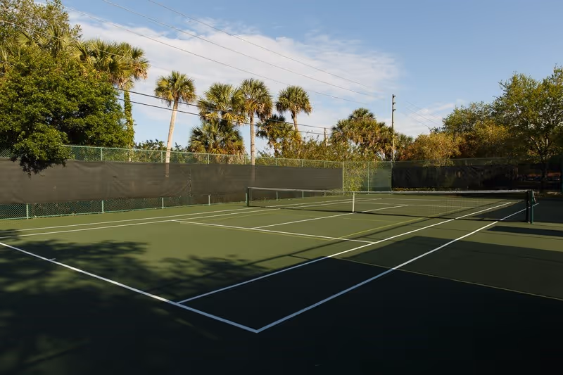 Outdoor tennis court with green surface and white lines, surrounded by a green fence and tall palm trees under a partly cloudy sky.