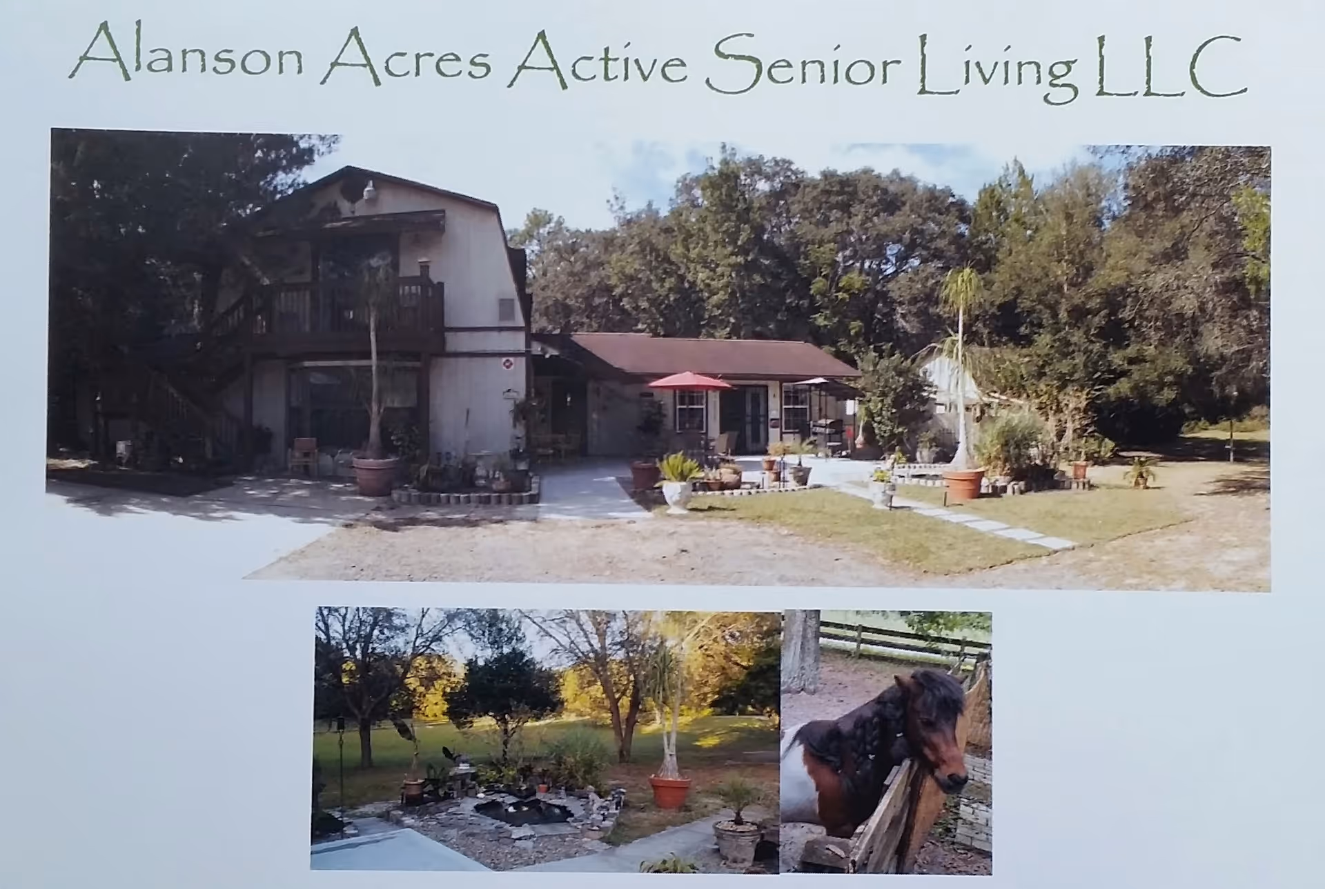 Exterior view of Alanson Acres Active Senior Living LLC showing a two-story building with a balcony and stairs, surrounded by trees and plants. Below are two smaller images: one of a garden area with a small pond and potted plants, and another of a horse standing behind a wooden fence.
