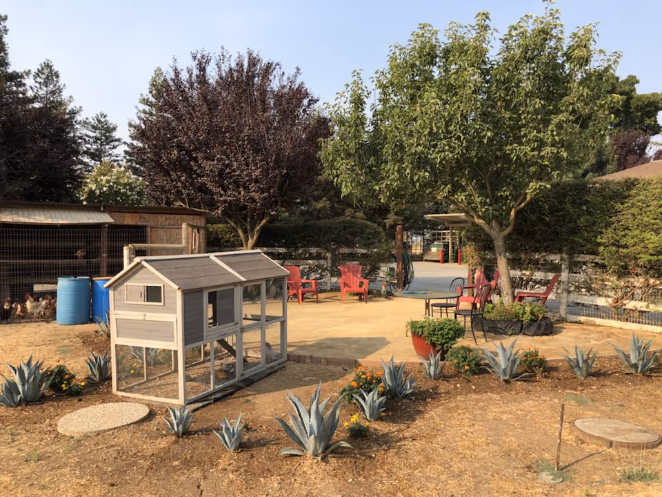 Outdoor garden area with a small chicken coop, several agave plants, and a few flowering plants. There are red and black chairs arranged around a paved patio area under trees, with a fenced area and some chickens visible in the background.