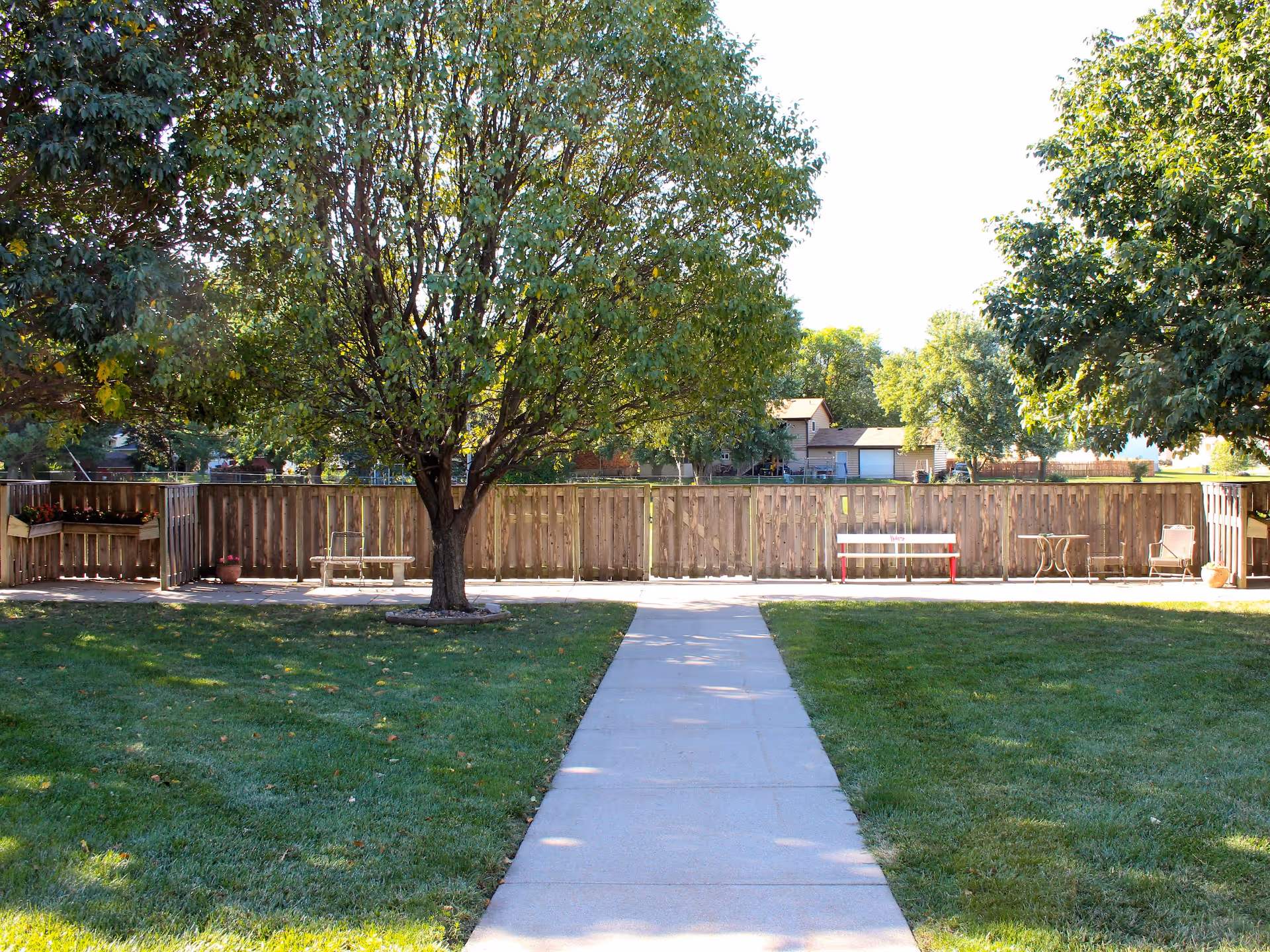 Concrete walkway through a grassy courtyard leading to a wooden fence with a large tree and benches.
