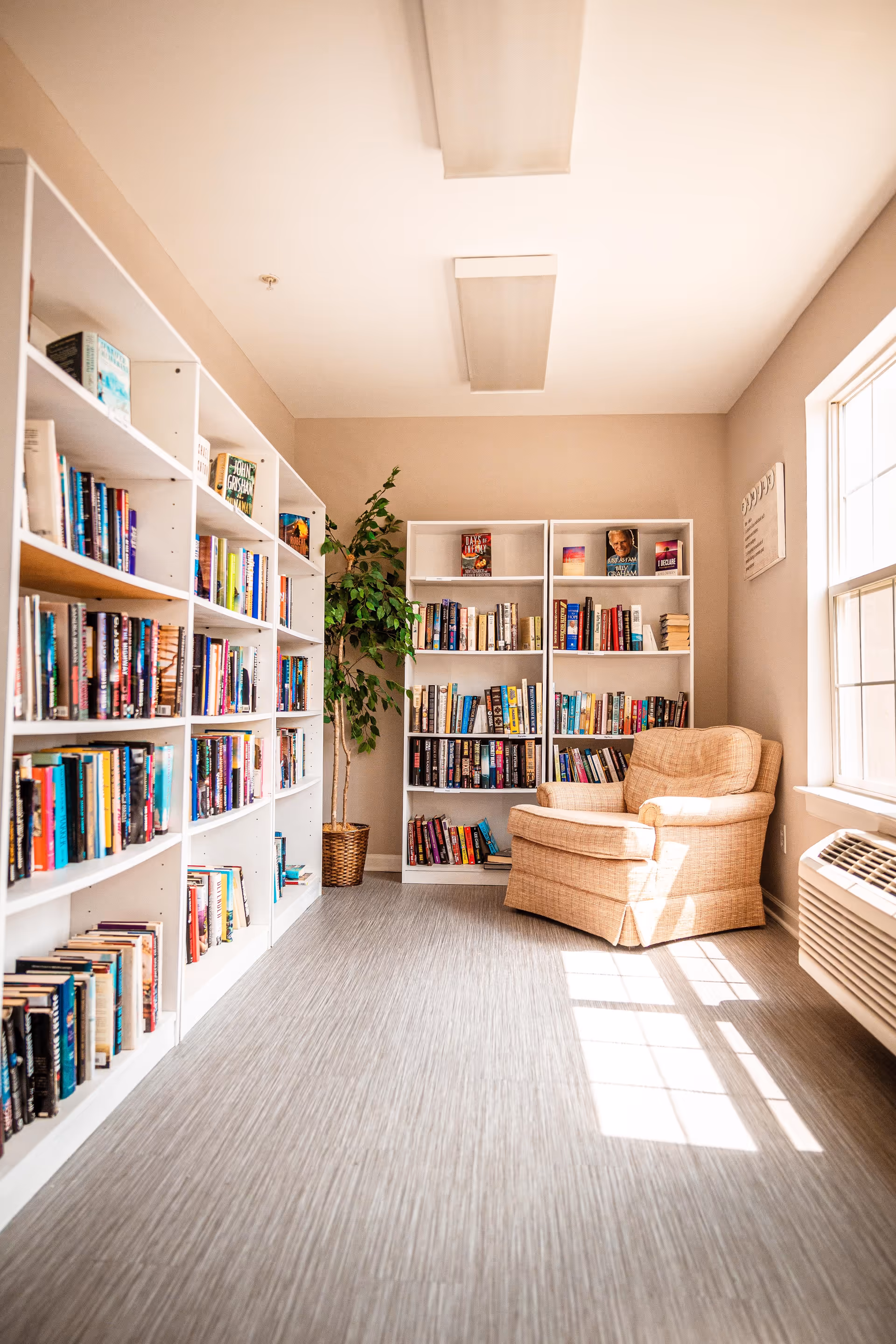 Sunlit reading room with white bookshelves, a potted plant, and a cushioned armchair by a window.