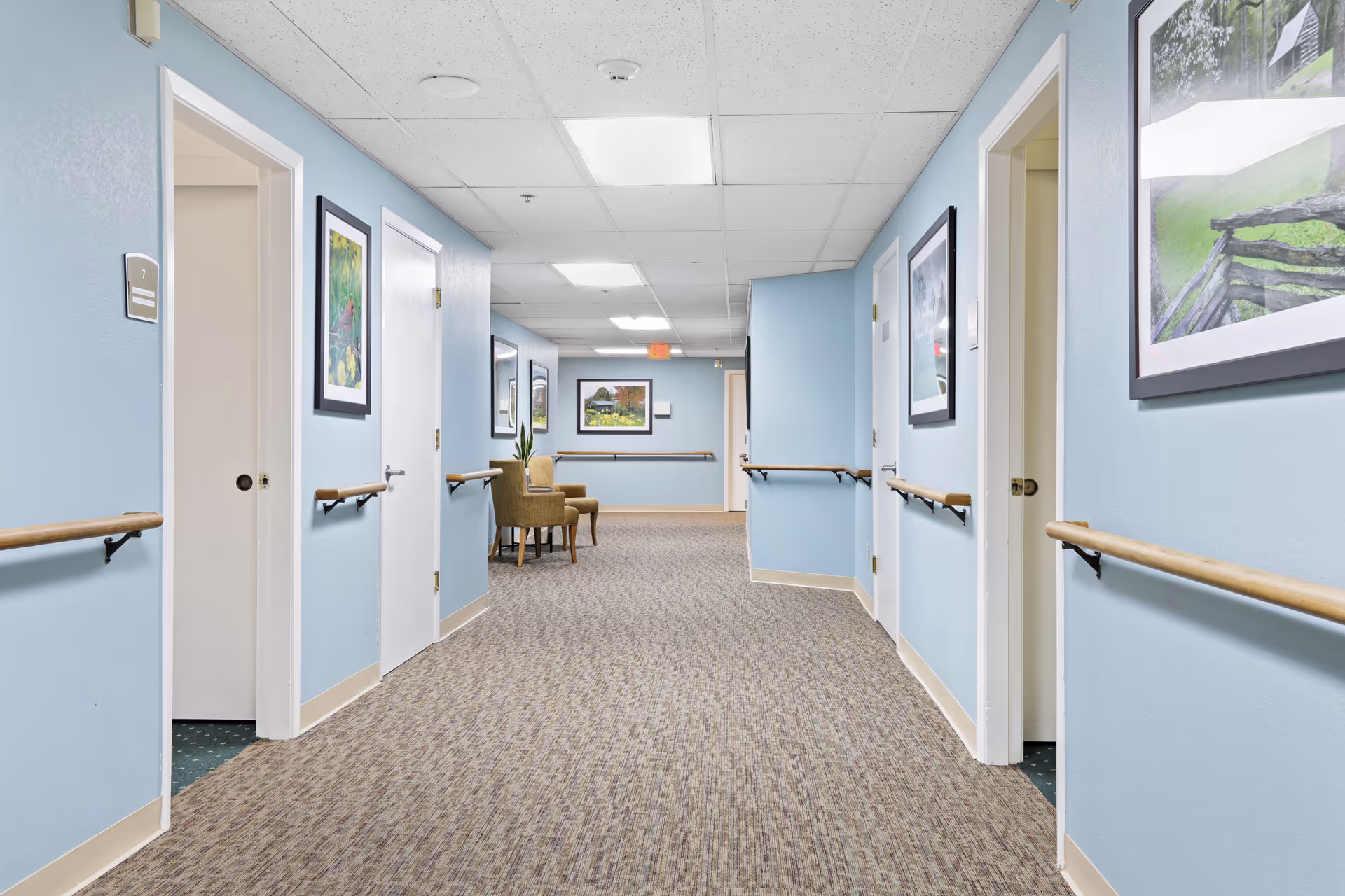 A clean, well-lit hallway in Almond Grove Assisted Living with light blue walls, beige patterned carpet, wooden handrails on both sides, framed nature-themed artwork on the walls, and two beige chairs placed against the far wall.