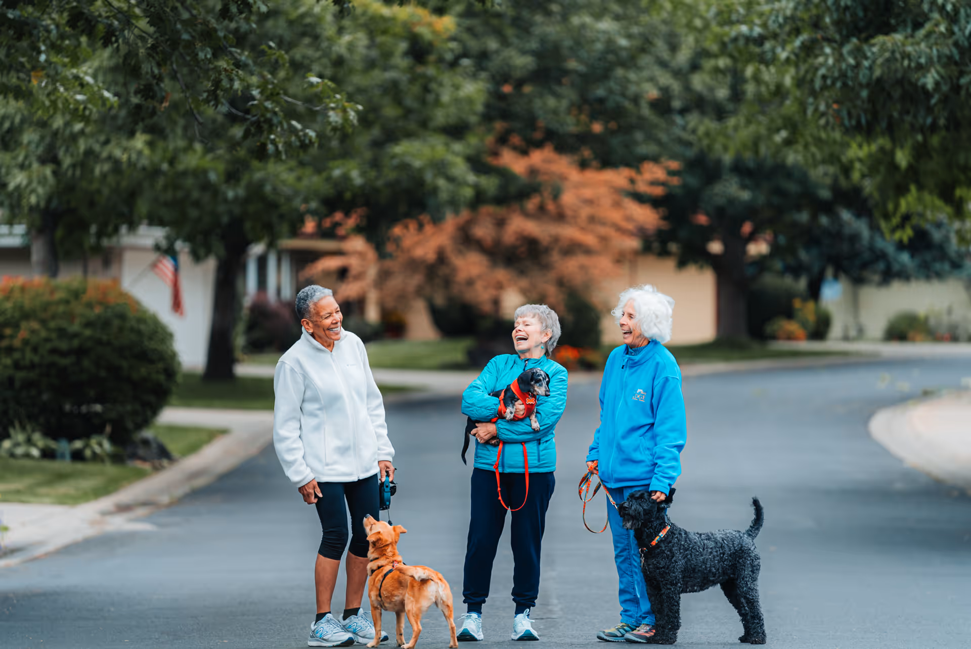 Three elderly women standing on a residential street, each with a dog. They are smiling and appear to be enjoying a conversation. The background shows trees, bushes, and houses with an American flag visible on one house.