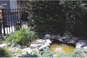 Outdoor garden with rocks, shrubs, and a small pond near a fence.