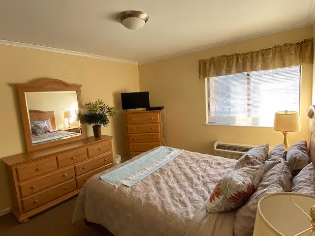 A cozy bedroom with a large bed covered in a beige quilt and multiple pillows. There is a wooden dresser with a mirror and a potted plant on top, a tall wooden chest of drawers with a small TV on it, a window with blinds and a valance, and a bedside table with a lamp. The walls are painted light yellow and the room is well-lit with natural light coming through the window.