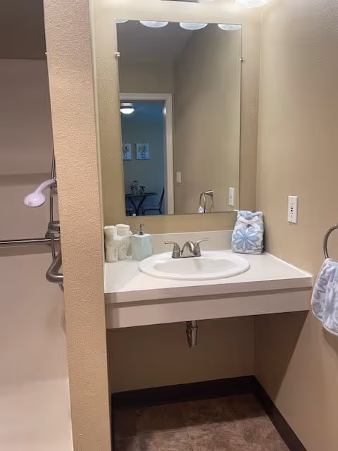 A bathroom sink with a large mirror above it. On the countertop are a soap dispenser, a small container, and a folded blue and white patterned towel. To the left, a shower area with a white showerhead and grab bars is partially visible. A towel ring with a blue and white patterned towel is mounted on the right wall.