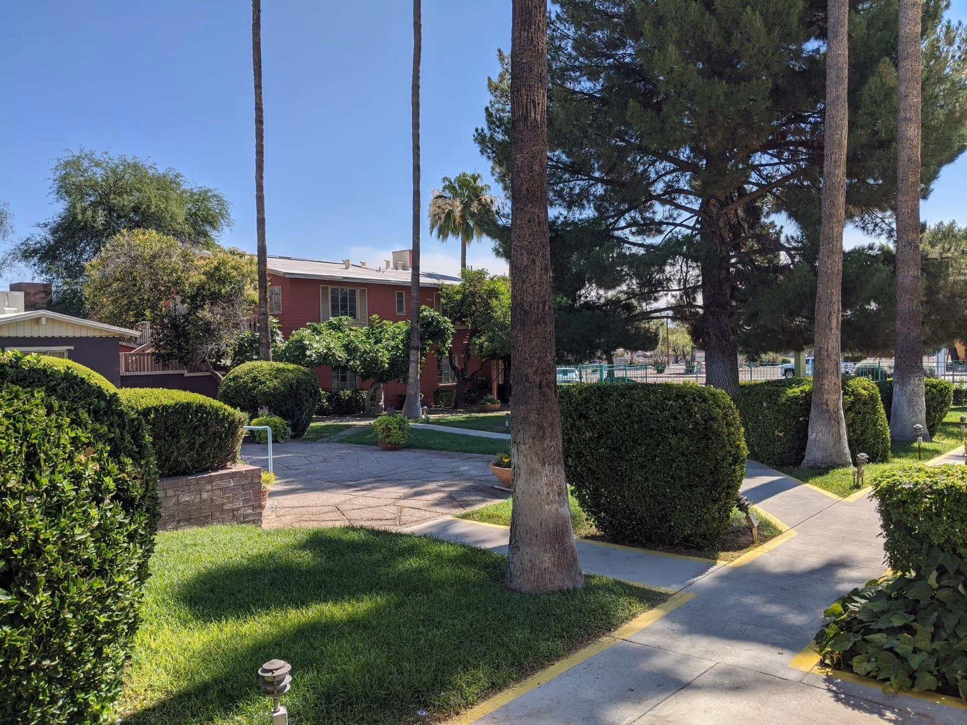 Outdoor view of The Oasis Assisted Living Community showing a landscaped garden area with trimmed bushes, tall palm trees, a paved walkway, and a two-story red building in the background under a clear blue sky.