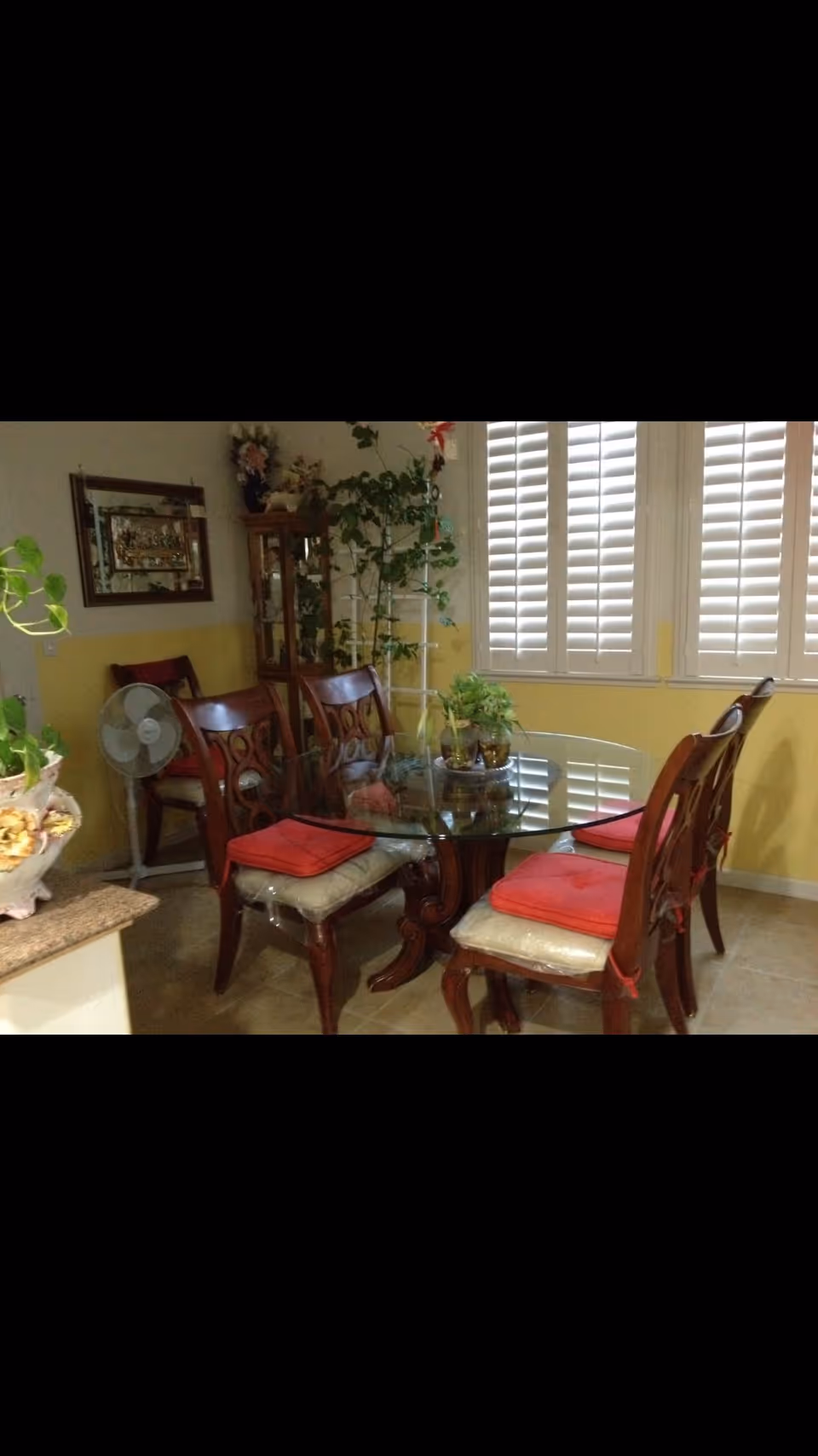 A dining area with a round glass-top table surrounded by six wooden chairs with red cushions. The room has yellow and white walls, a window with white shutters, several potted plants, a standing fan, a wooden cabinet with glass doors, and a framed mirror on the wall.