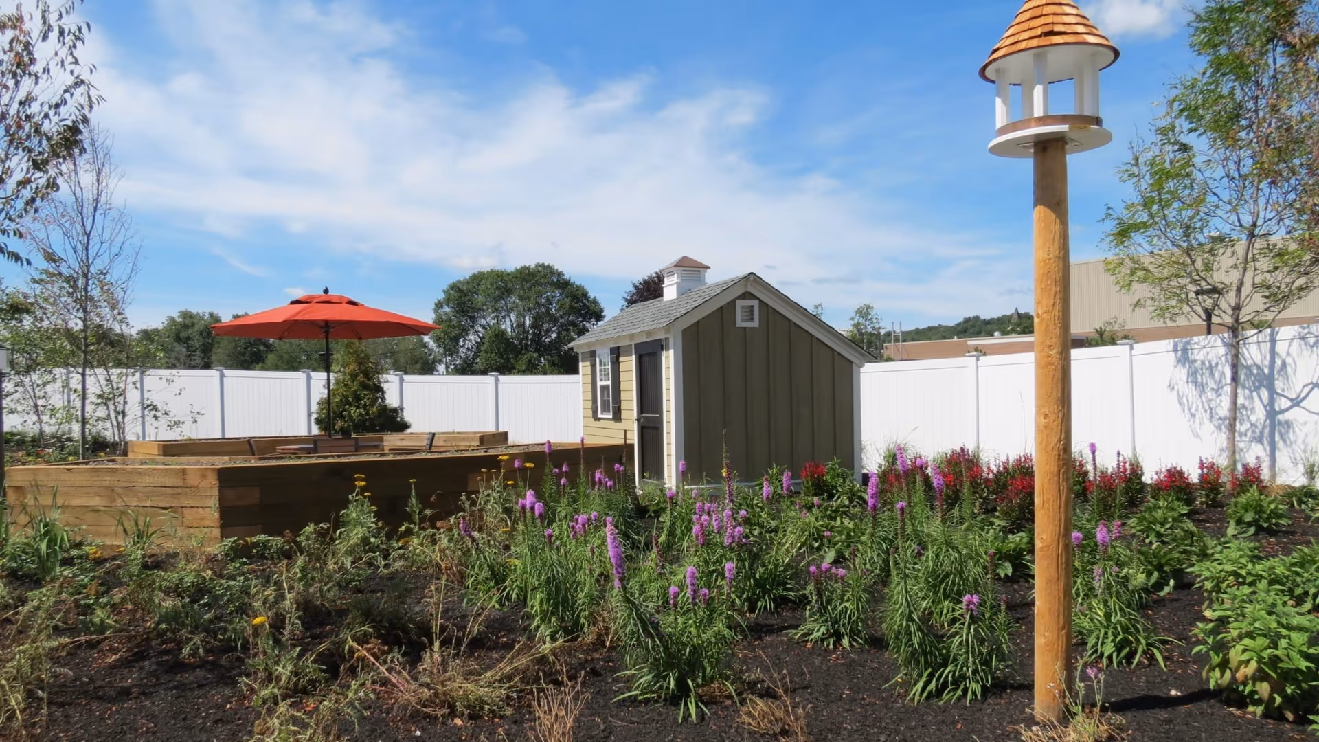 A garden area with raised wooden planting beds, a small green shed with a gray roof, and a tall wooden birdhouse on a post. There is a red patio umbrella over one of the planting beds, surrounded by various green plants and purple flowers. The garden is enclosed by a white fence and trees are visible in the background under a blue sky with some clouds.