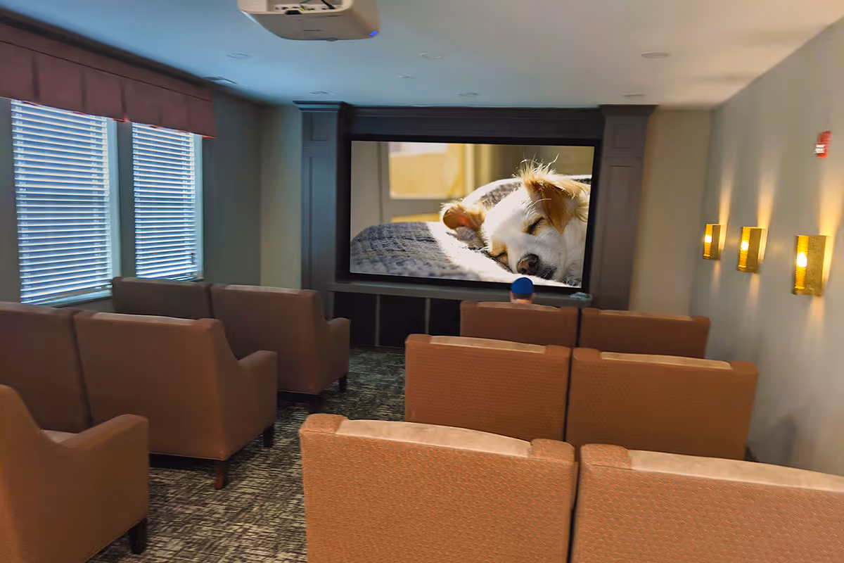 Small screening room with rows of upholstered chairs facing a large projection screen showing a sleeping dog, with windows on the left and wall sconces on the right.