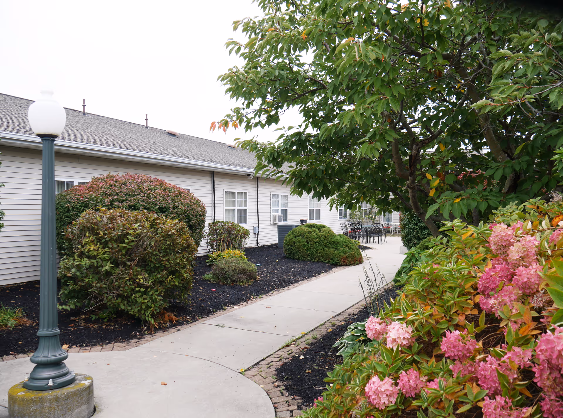 Outdoor walkway at Seneca Lake Terrace with bushes, flowering plants, a tree, and a lamppost along the path leading to a building with white siding and multiple windows.
