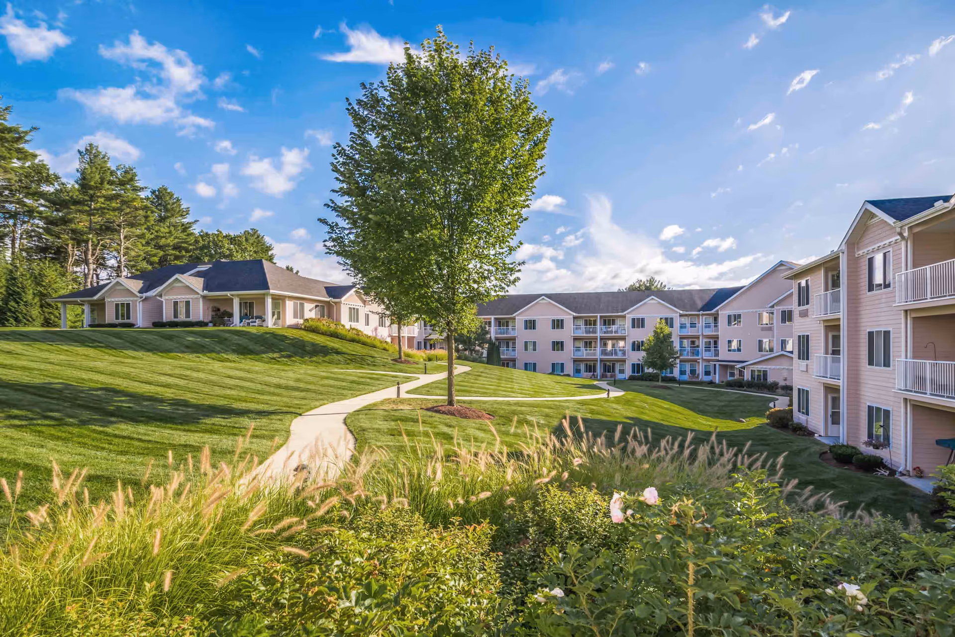 A scenic outdoor view of Holiday Maple Suites featuring well-maintained green lawns, a winding concrete pathway, a large leafy tree in the center, and multiple light pink residential buildings with balconies under a partly cloudy blue sky.