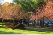 A landscaped outdoor area with green grass, trees with autumn-colored leaves, and a paved walkway leading through the space. Buildings are partially visible in the background.
