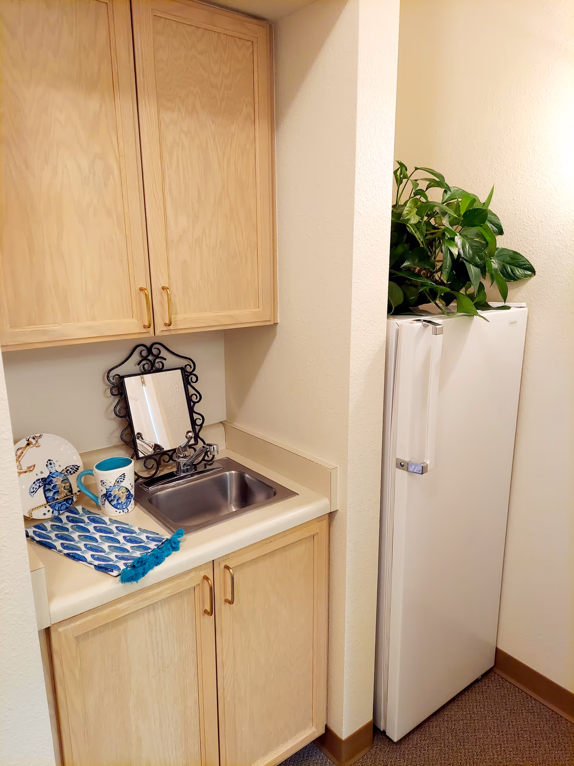 Small kitchenette with a sink, light wood cabinets, a tall white refrigerator with a potted plant on top, and decorative dishes and a mug on the counter.