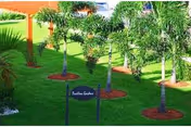 A well-maintained outdoor garden area with neatly trimmed green grass and several palm trees planted in circular mulch beds. A small sign in the foreground reads 'Pavilion Gardens'.