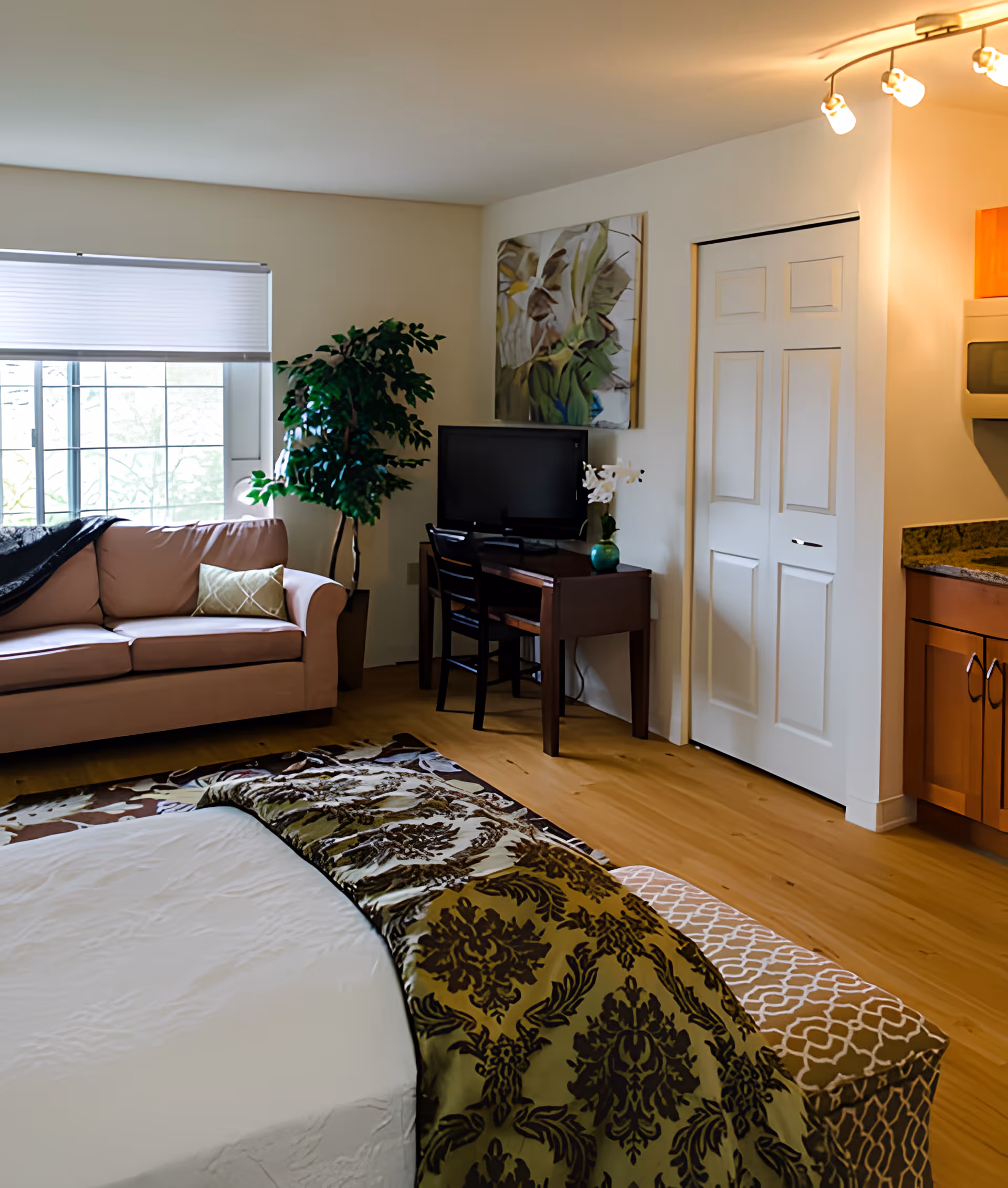 A cozy living space with a beige sofa near a window with blinds, a small desk with a TV and a chair, a potted plant, and a bed with a patterned green and brown blanket. The room has wooden flooring and white walls with a piece of artwork hanging above the desk. A closet with white double doors and part of a kitchen counter with cabinets are also visible.