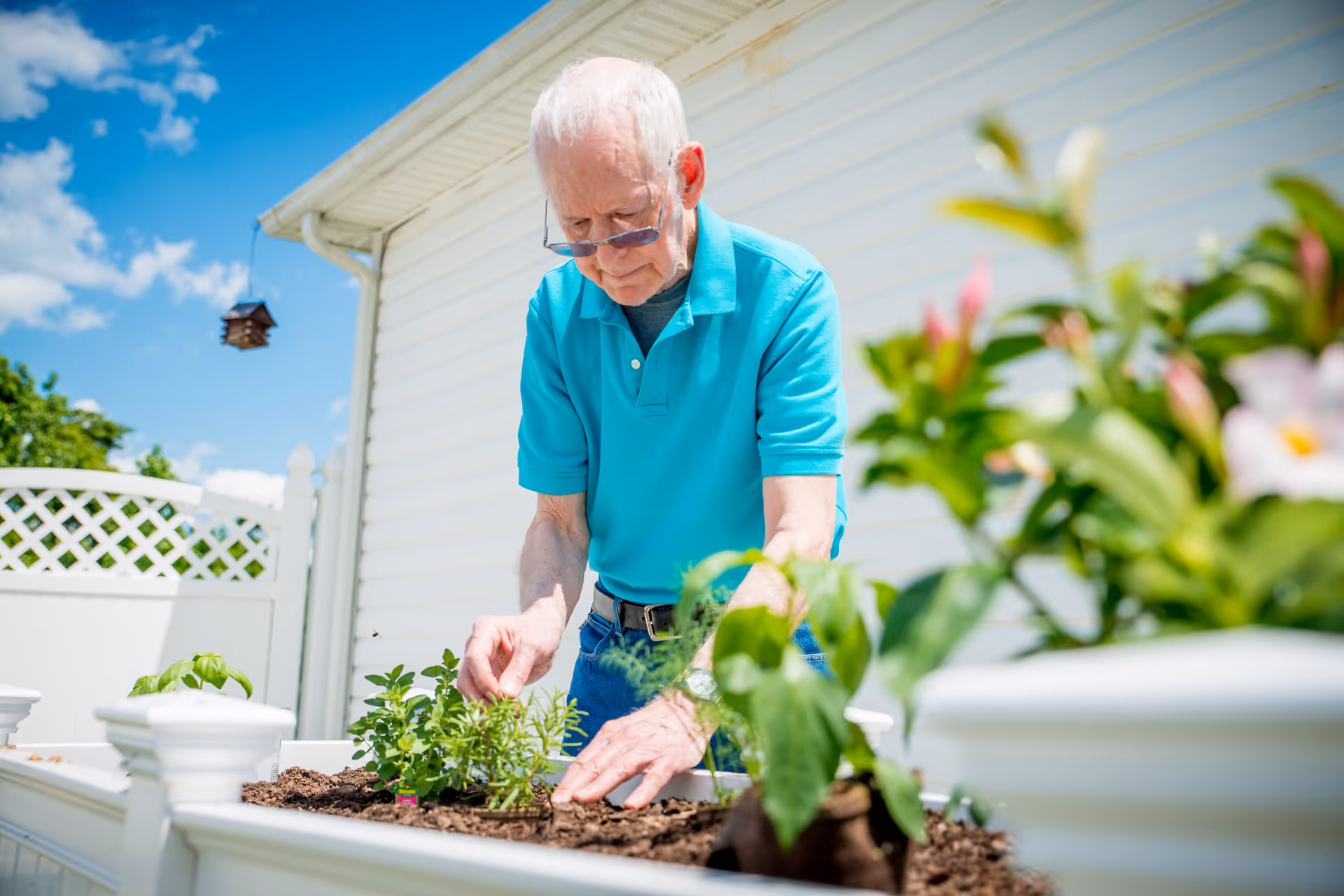 An elderly man wearing a turquoise polo shirt and glasses is gardening outdoors in a raised white planter box filled with soil and green plants. The background shows a white fence, a white house exterior, a birdhouse hanging, and a bright blue sky with some clouds.