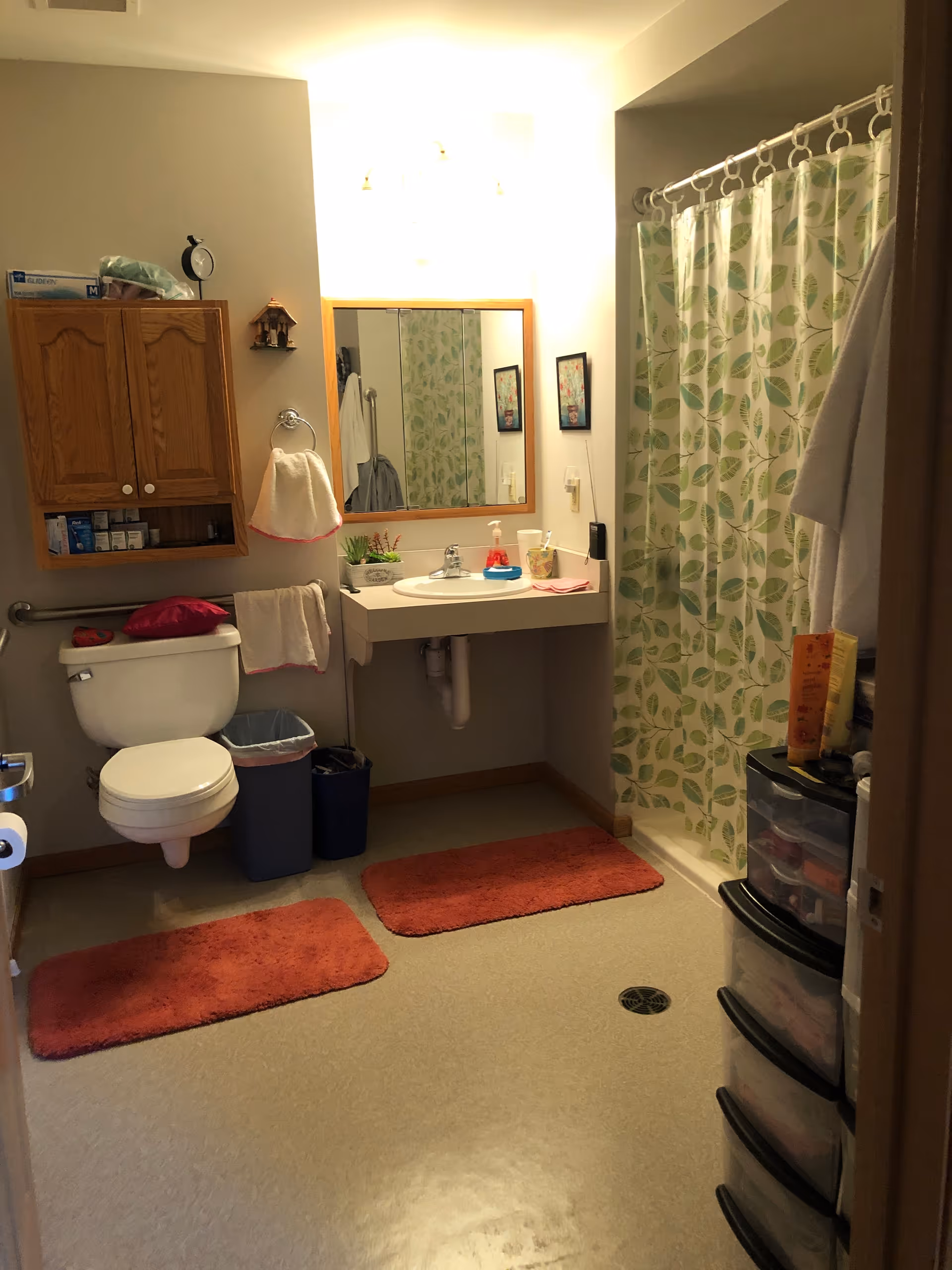 A bathroom with a toilet, a wall-mounted wooden cabinet, a sink with a mirror above it, and a shower with a green leaf-patterned curtain. There are two red bath mats on the floor, a towel hanging on a ring, and a small plastic drawer unit on the right side. The bathroom is well-lit with a light fixture above the mirror.