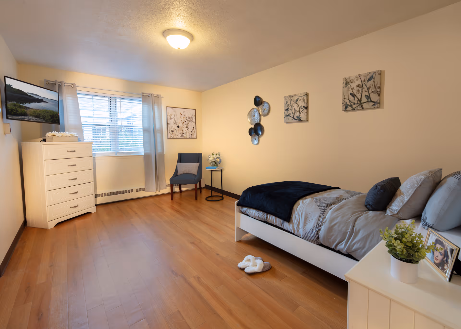 A cozy bedroom in a memory care assisted living facility featuring a single bed with gray and black bedding, a white nightstand with a potted plant and framed photo, a blue upholstered chair with a pillow, a white chest of drawers, a wall-mounted TV, and decorative wall art. The room has wooden flooring and a window with light gray curtains letting in natural light.