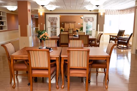 A spacious dining room with wooden tables and chairs arranged neatly. The room has large windows allowing natural light to fill the space. There are plants and decorative items on the tables and in the corners, with soft lighting from ceiling fixtures.