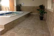 Indoor tiled small pool or spa area with a handrail, tiled floor and potted plants.