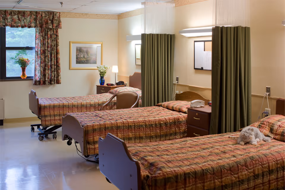 A room with three hospital-style beds arranged in a row, each with a patterned bedspread. There are green privacy curtains between the beds. A small nightstand with a telephone and lamp is placed between the beds. A window with floral curtains and a vase of flowers on the windowsill is visible on the left side. A framed picture hangs on the wall, and a chair is positioned near the middle bed. A cat is lying on the bed in the foreground.