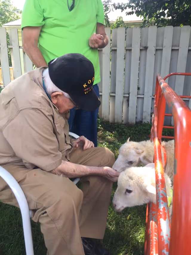 An elderly man wearing a black cap and beige clothing sits on a white chair outdoors, feeding two white sheep through a red metal fence. Another person in a bright green shirt stands nearby. A white wooden fence and green foliage are visible in the background.