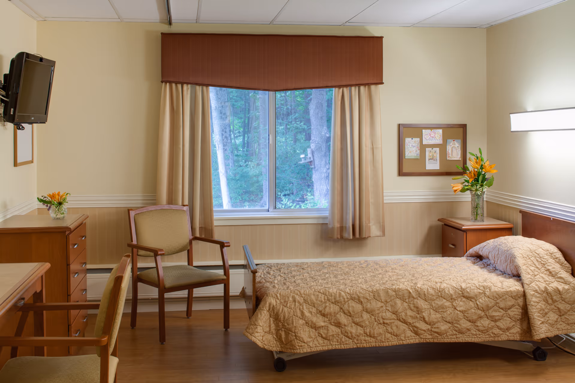 A neatly arranged bedroom in a senior living facility with a single bed covered in a beige quilt, two wooden chairs with green cushions, a wooden dresser with a small vase of flowers, a window with beige curtains showing a view of trees outside, a bulletin board with pictures on the wall, and a wall-mounted TV.
