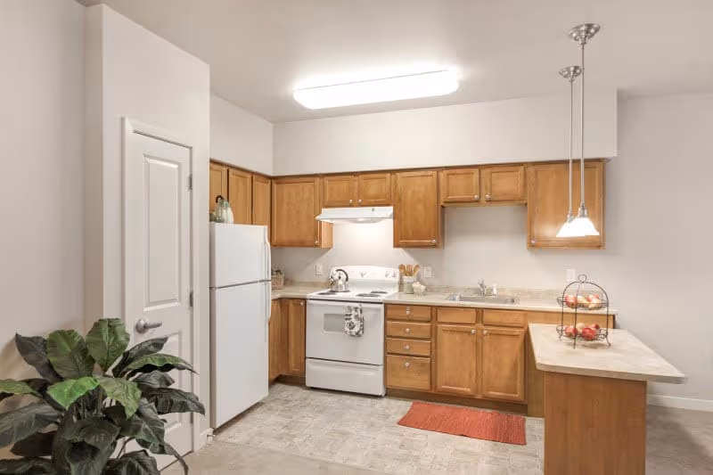 A clean and well-lit kitchen with wooden cabinets, a white refrigerator, a white stove with a kettle on it, a sink, and a small countertop island with a two-tier fruit basket. There is a red rug on the floor and a green potted plant to the left side near a closed door.