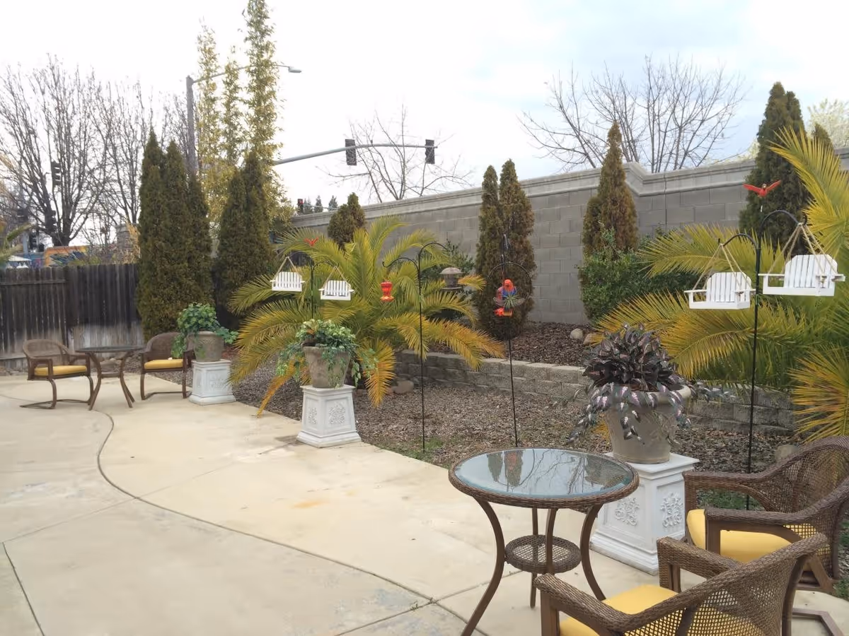 Outdoor patio area with a curved concrete walkway, several wicker chairs with yellow cushions, a glass-top round table, potted plants on white pedestals, palm trees, and bird feeders. A tall brick wall and leafless trees are visible in the background.