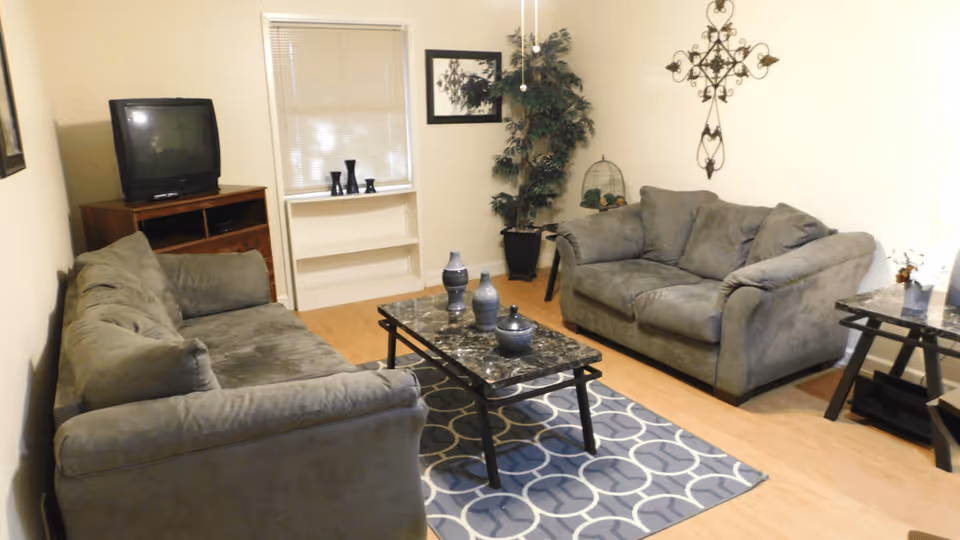A living room with two gray sofas facing each other, a patterned area rug, a marble-top coffee table with decorative vases, a small side table, a potted plant, a wall decoration, and an older-style television on a wooden stand near a window with closed blinds.