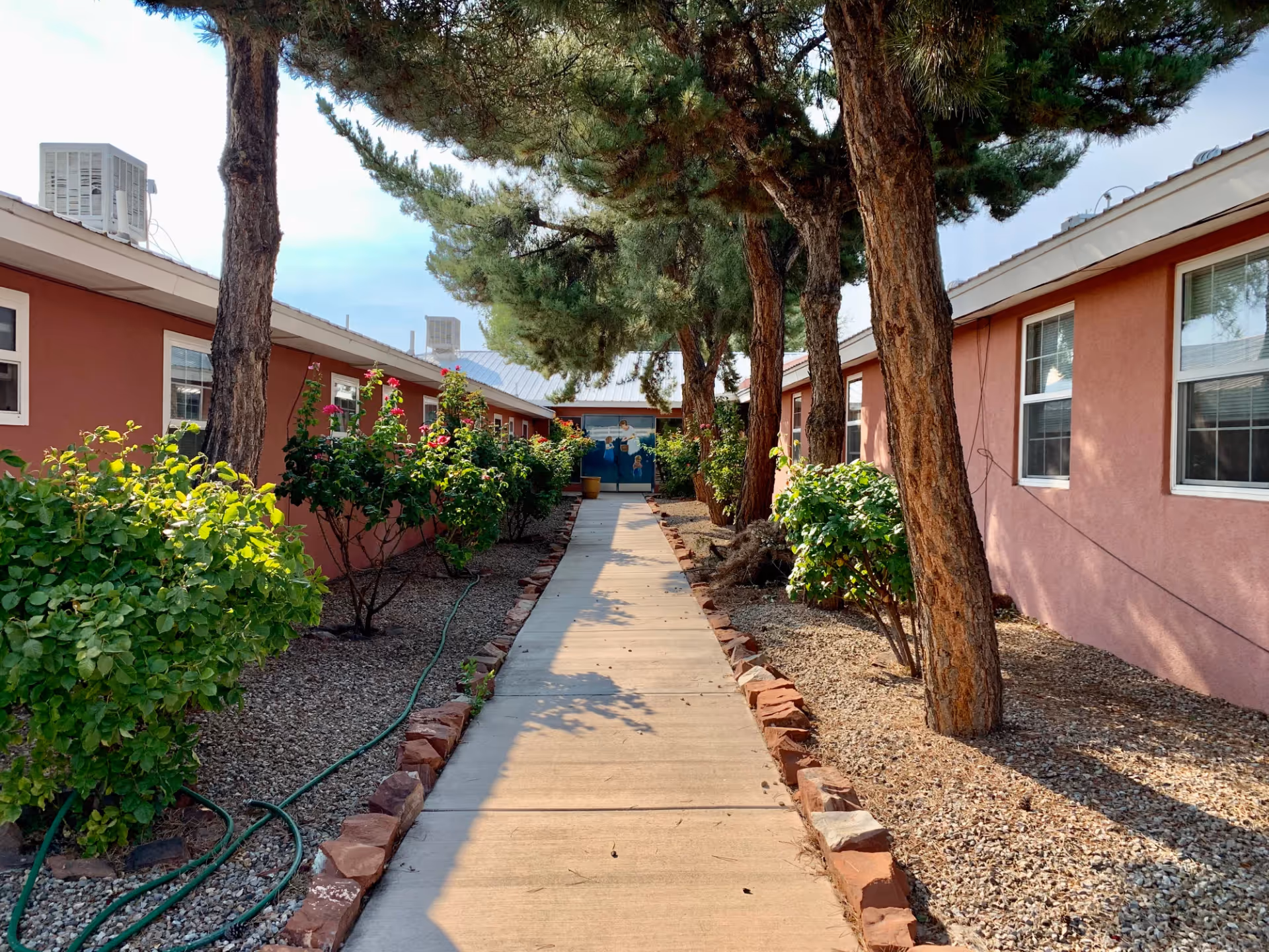 A concrete walkway lined with small bushes and trees on both sides, leading between two single-story buildings with pink walls and white-framed windows under a clear sky.