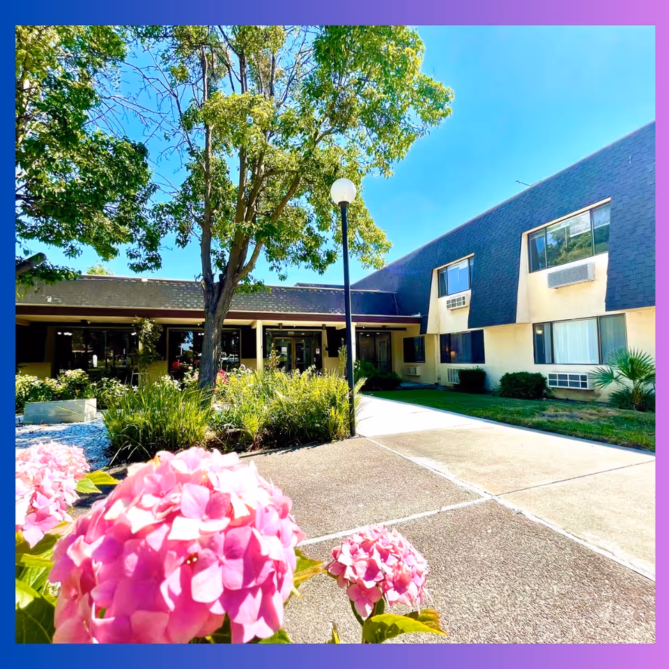 Front exterior of a two-story senior living building with a walkway, landscaping, pink hydrangeas in the foreground, a tree and a lamp post under a clear blue sky.