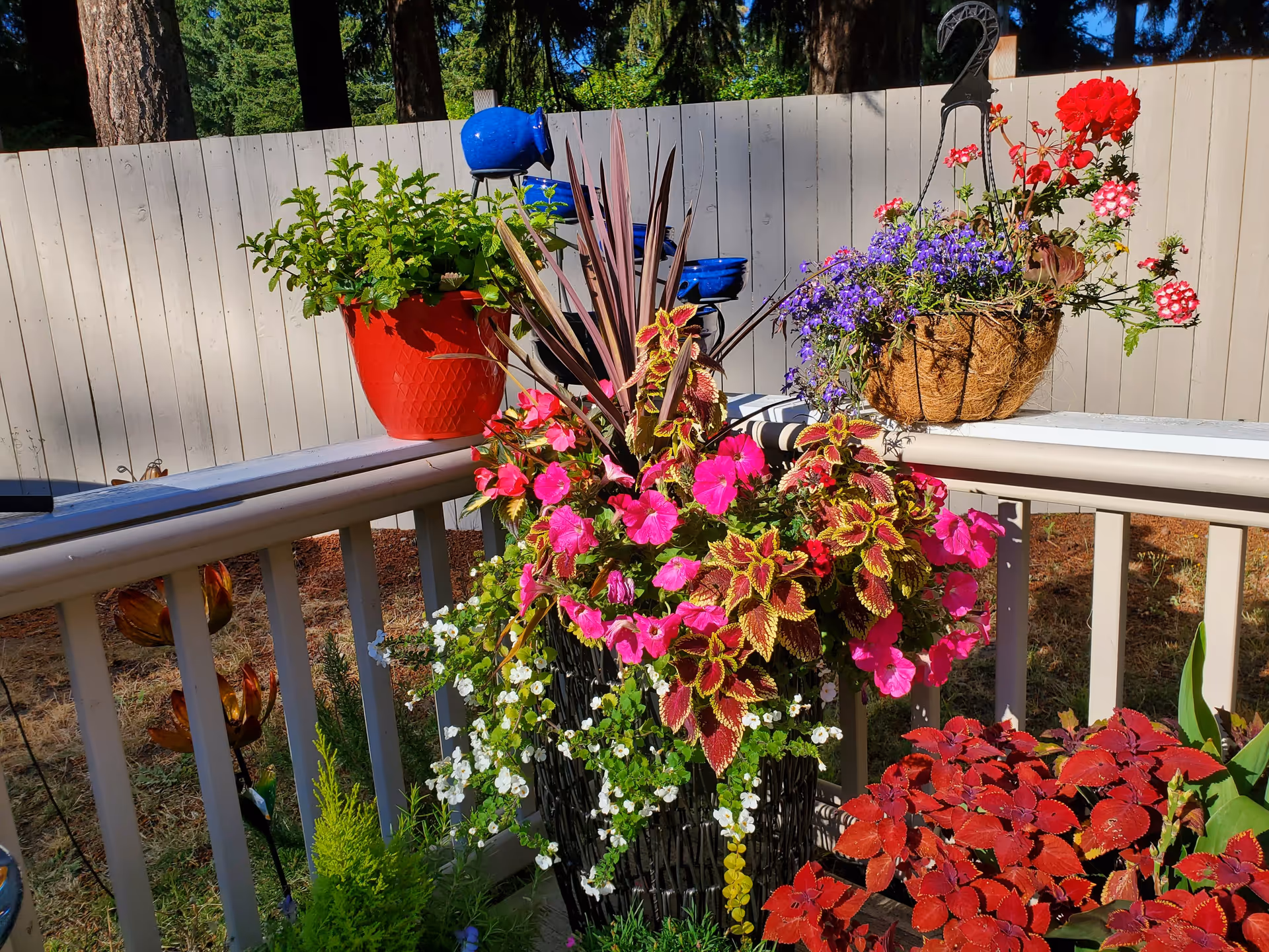 Colorful potted and hanging flowers arranged on a deck railing in front of a wooden fence.