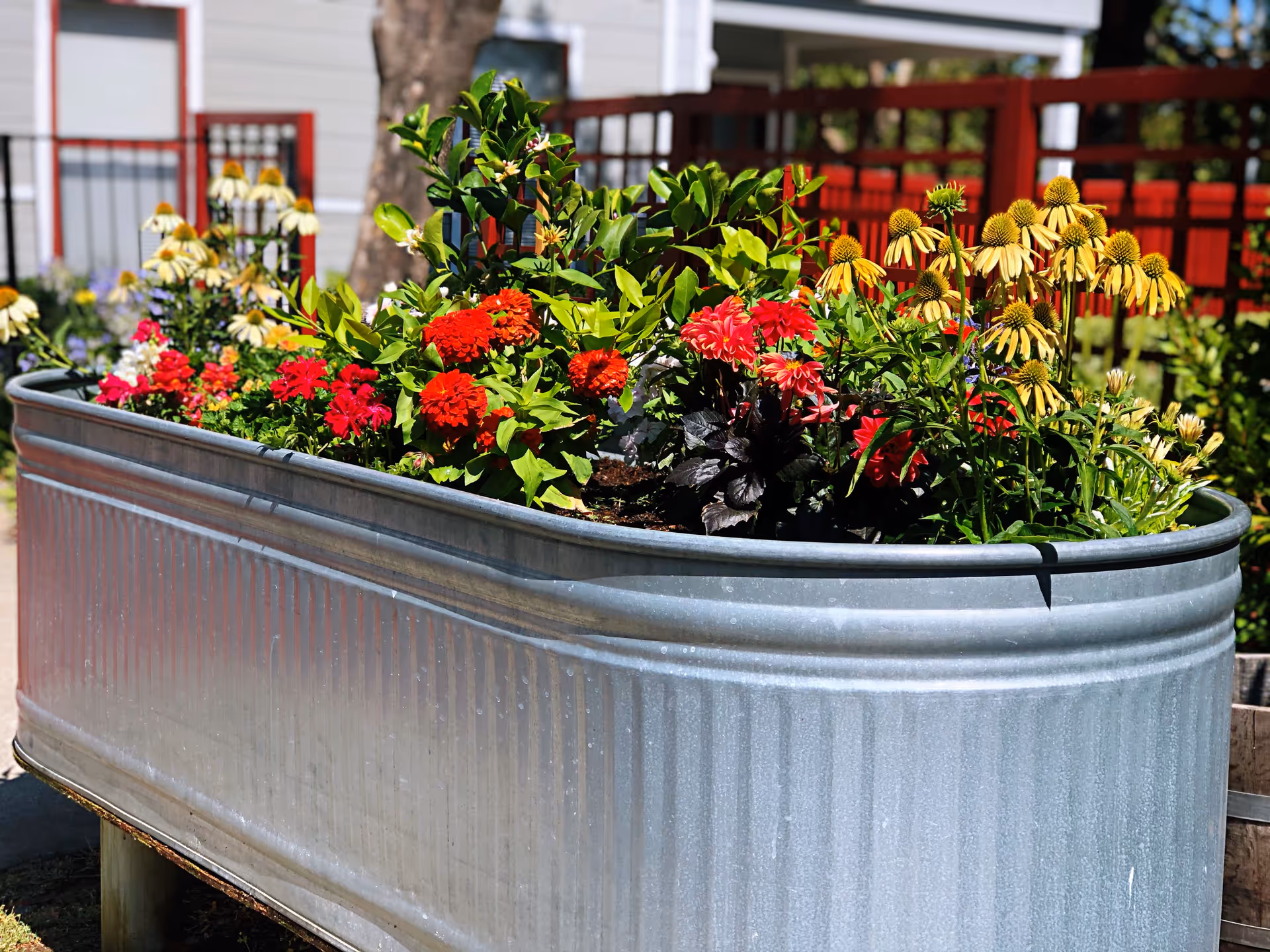 A large galvanized metal planter filled with a variety of colorful flowers including red, yellow, and white blooms, set outdoors with a red fence and building in the background.