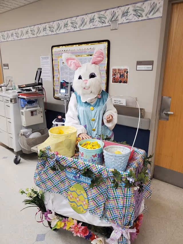 A person dressed in a white Easter Bunny costume with pink ears and a blue vest stands behind a decorated cart covered with a colorful plaid cloth and adorned with flowers and Easter-themed decorations. The cart holds several baskets filled with yellow items. The scene is set in a healthcare facility hallway with medical equipment and a door labeled 'L143 SHIELD CELL ROOM' in the background.