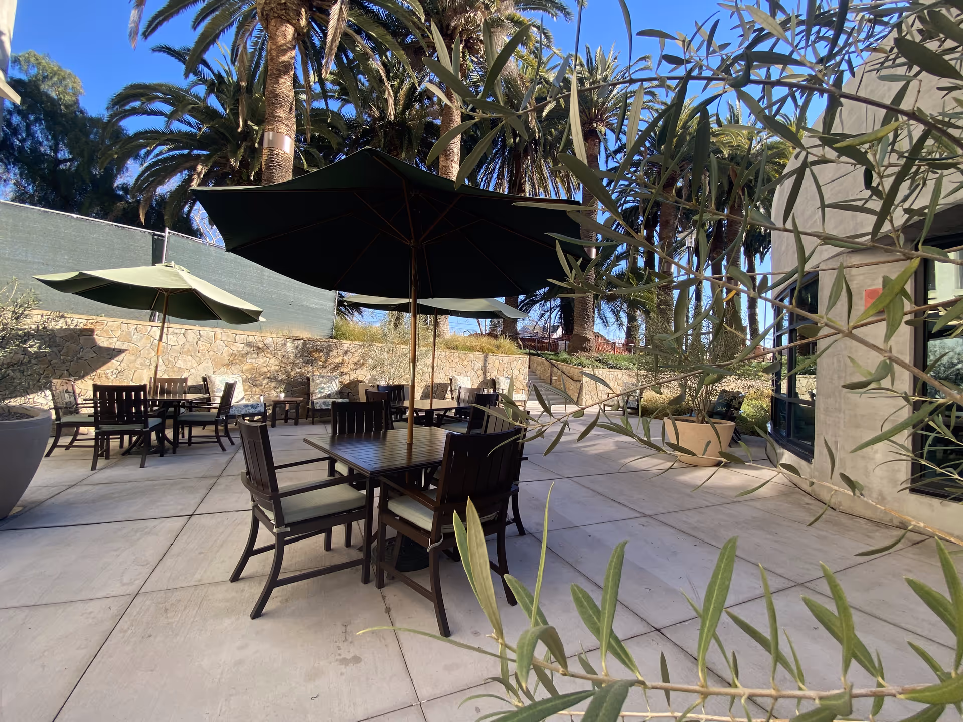 Outdoor patio area with multiple tables and chairs under large umbrellas, surrounded by palm trees and plants, with a stone wall and building visible in the background.