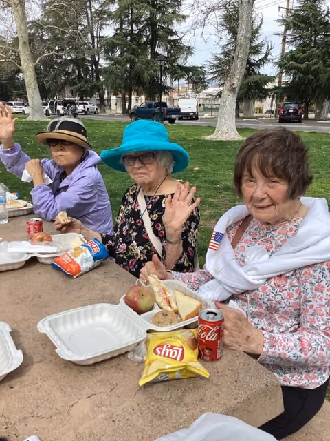 Three elderly women sitting at a picnic table outdoors in a park, enjoying a meal with sandwiches, apples, chips, and soda. Two of the women are waving at the camera. The background shows green grass, trees, and parked cars.