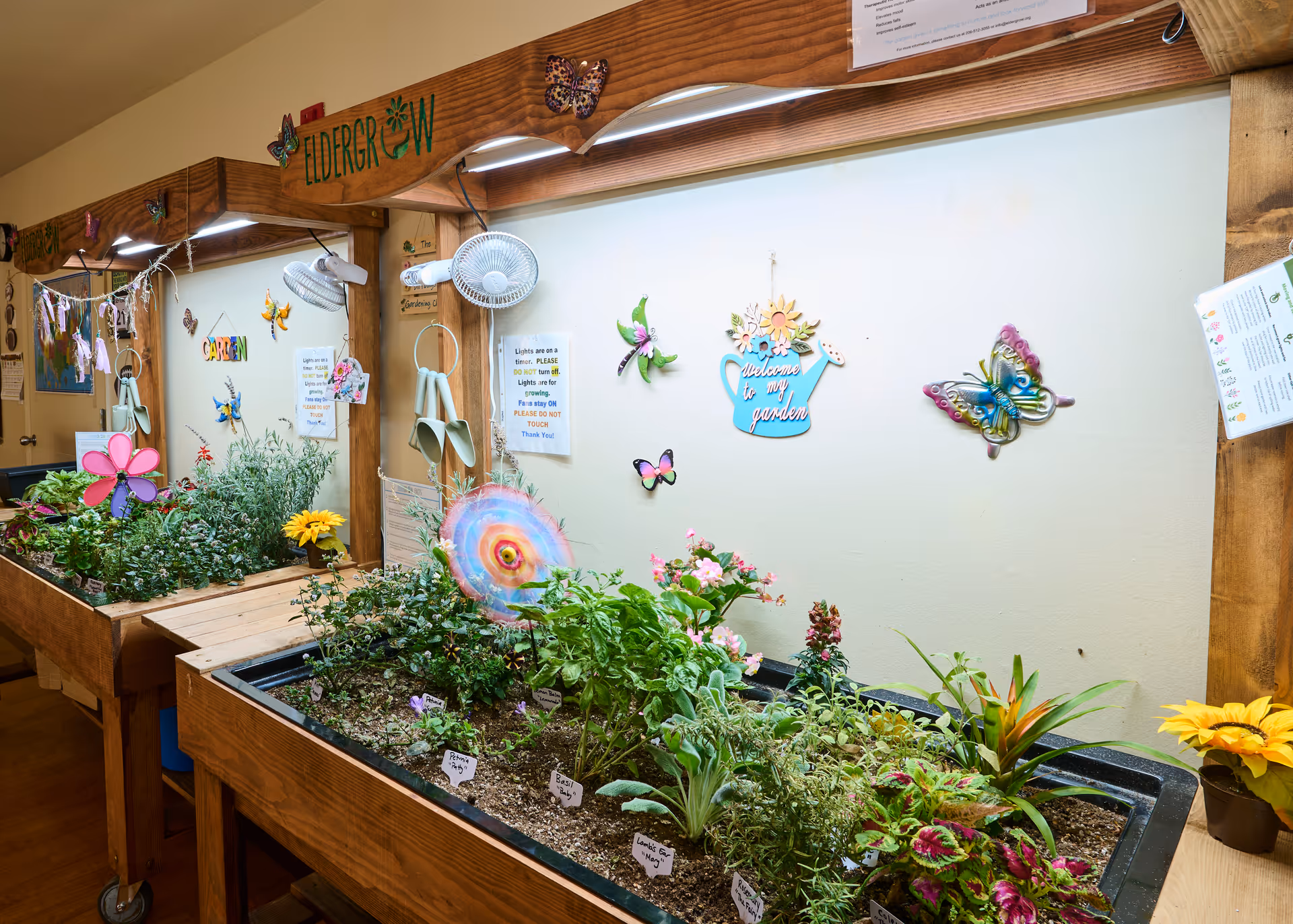 Indoor gardening area with wooden planters filled with various plants and flowers. The wall behind the planters is decorated with colorful butterfly ornaments and a sign that reads 'welcome to my garden'. There are small fans attached above the planters and a wooden frame with the word 'ELDERGROW' on top.