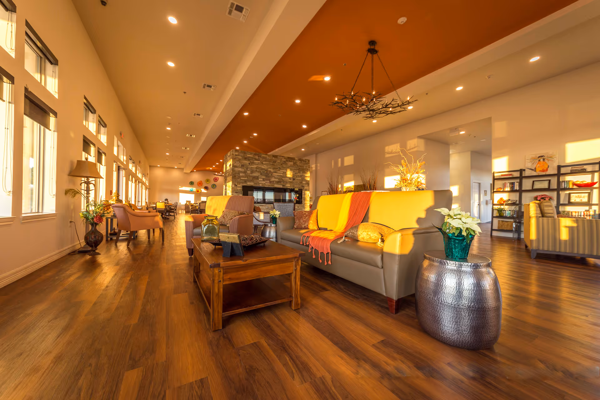 Spacious, well-lit communal lounge with sofas, armchairs, a coffee table, and decorative plants and shelving.