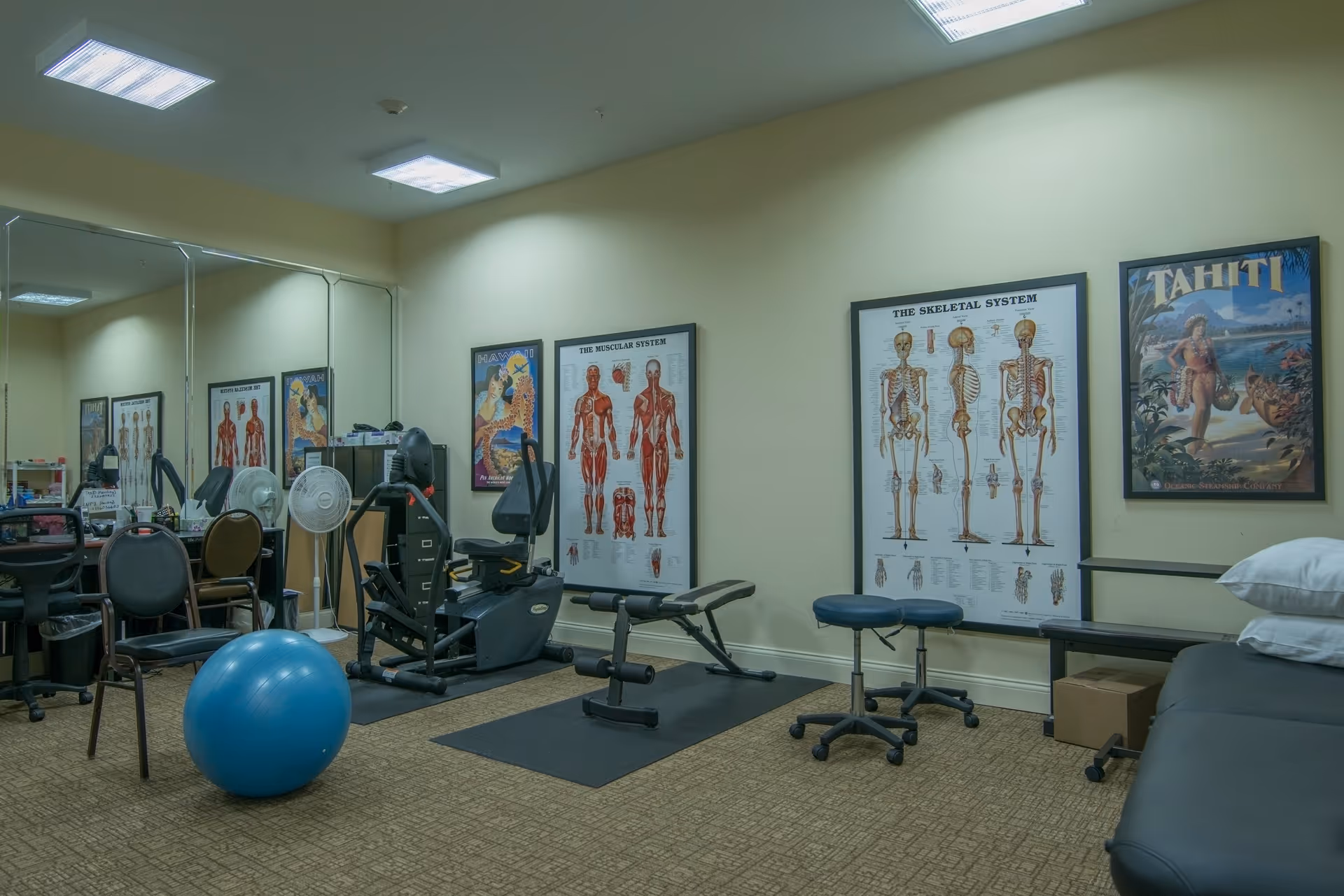 Therapy/exercise room with gym equipment, exercise ball, chairs and anatomical charts on the walls.