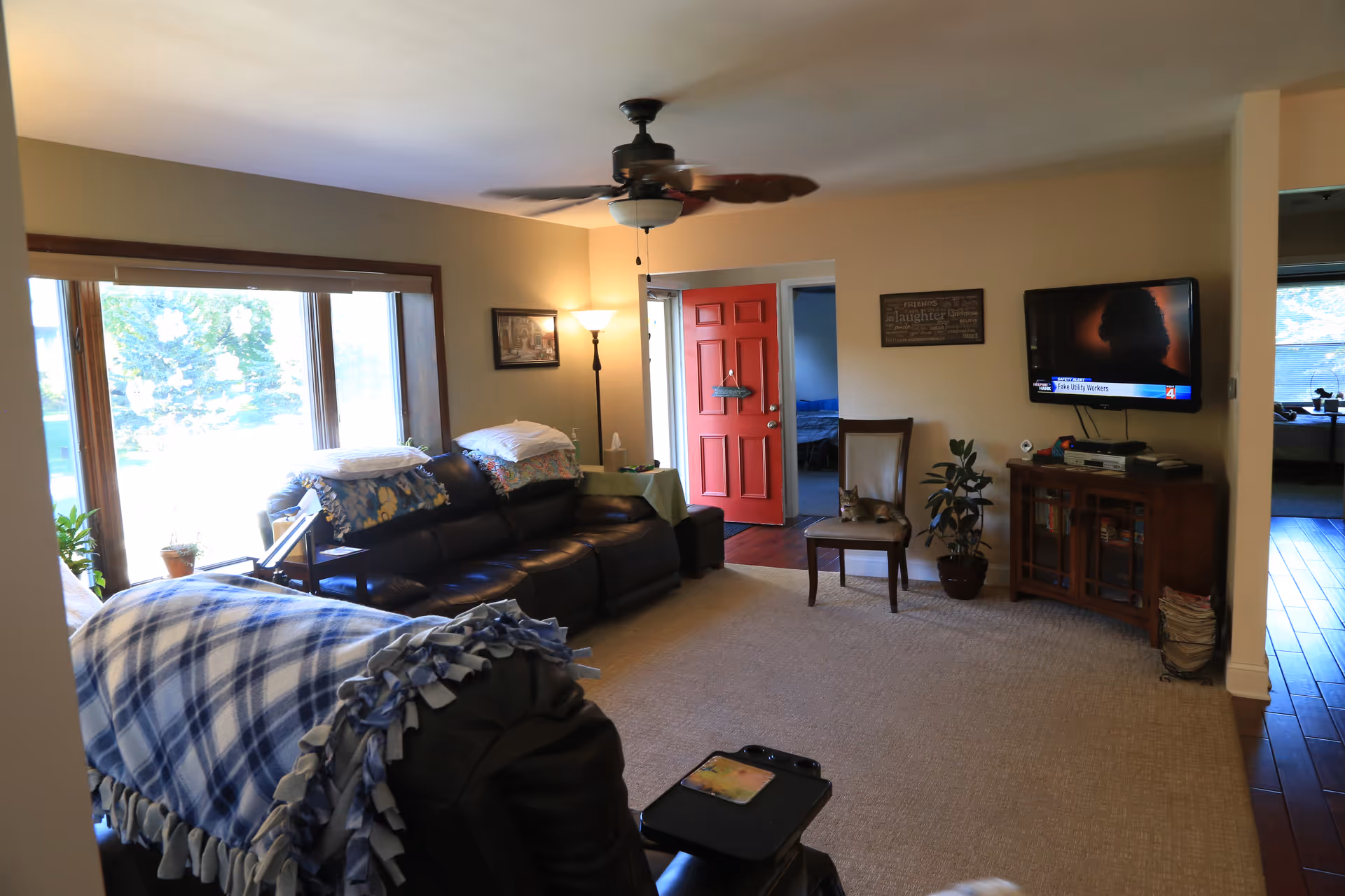A cozy living room with a large window letting in natural light. The room features a dark leather sofa with blankets and pillows, a ceiling fan, a floor lamp, a red door leading to another room, a wooden chair with a cat sitting on it, a potted plant, a wall-mounted TV, and a wooden cabinet beneath the TV.