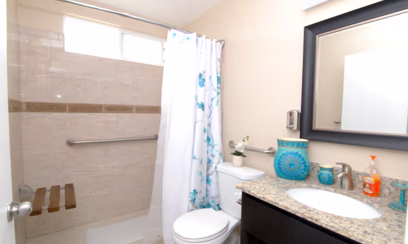 A clean bathroom featuring a tiled shower area with a wall-mounted wooden seat and grab bars, a white toilet with a small plant on top, and a granite countertop with a sink, soap dispenser, and decorative blue containers. A large mirror with a dark frame is mounted above the sink.