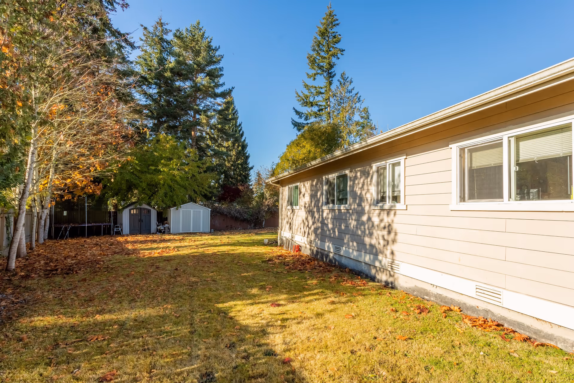 A sunny backyard area with a beige single-story building on the right side. The yard has green grass with some fallen leaves scattered around. There are several tall trees along the left side and in the background, along with two small storage sheds near the back fence.