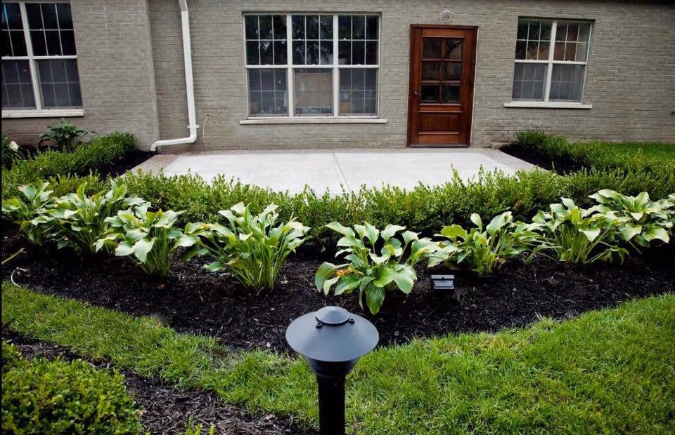 A garden area outside a building with a concrete patio, green shrubs, and leafy plants. The building has a light brick exterior with three windows and a wooden door.